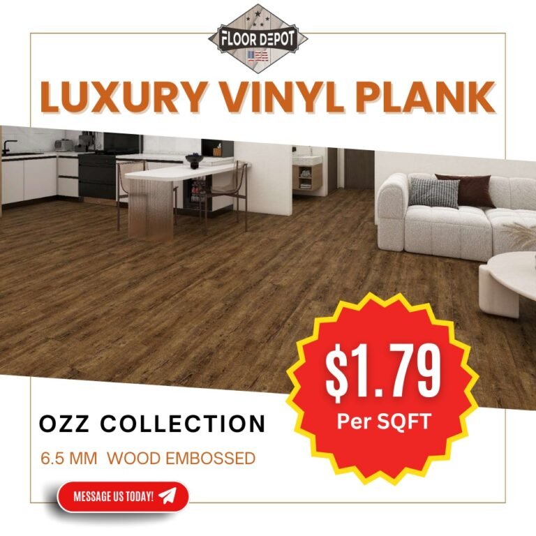 488273588_122117031614795318_1701699225564937024_n