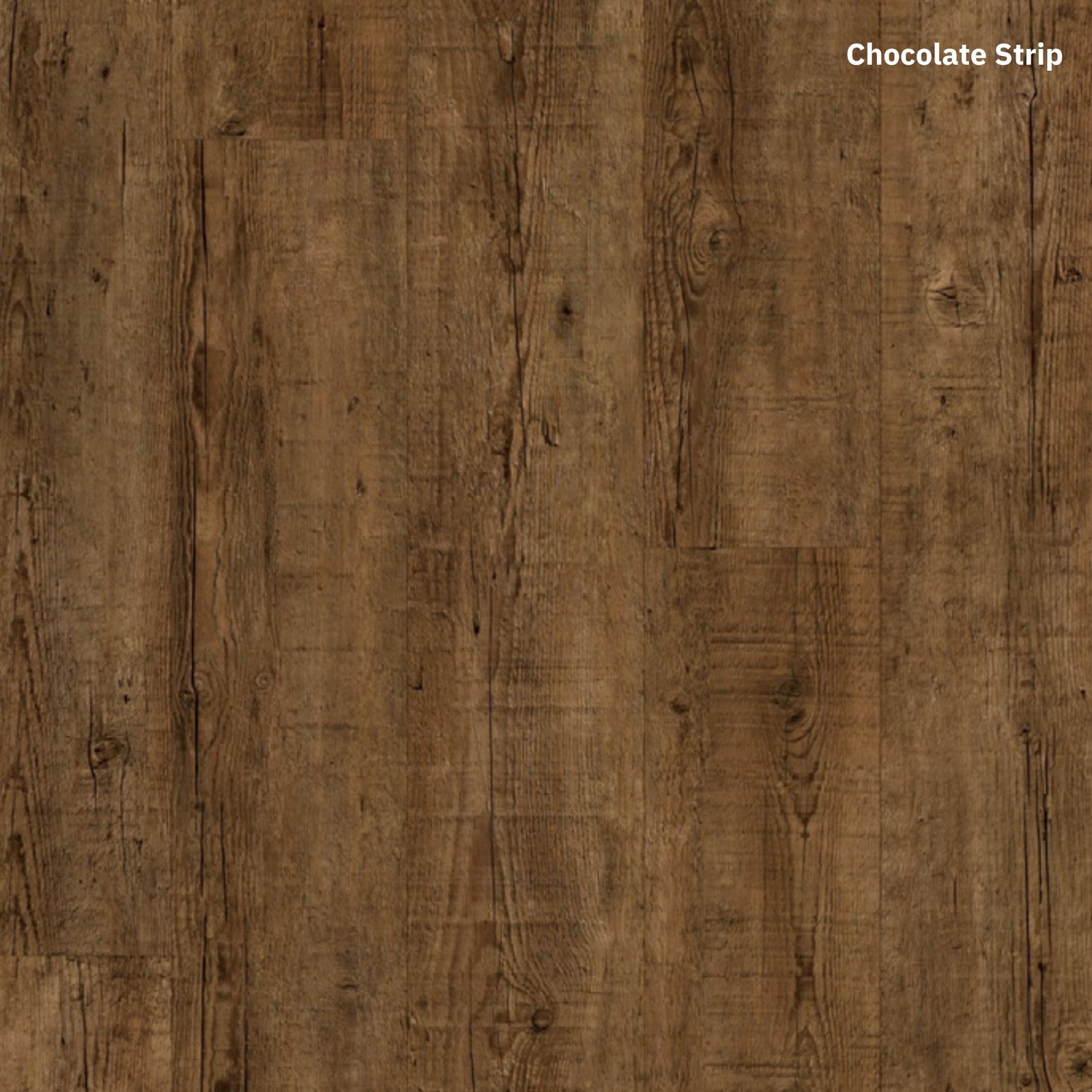 Ozz Plank - Image 15