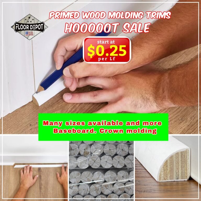 548491187_122156957576795318_4314112719193517950_n