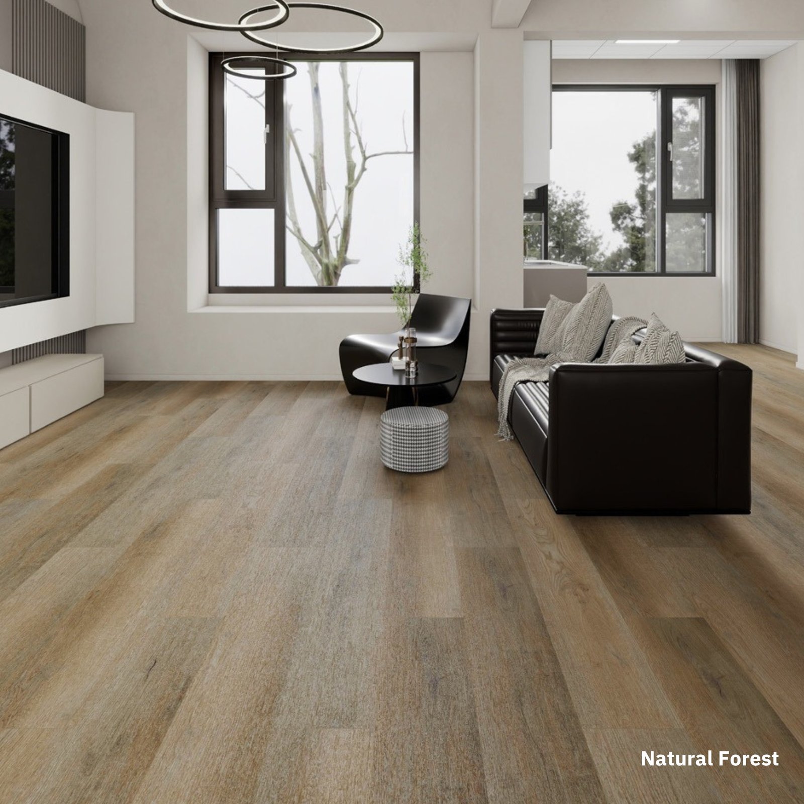 Ozz Plank - Image 14