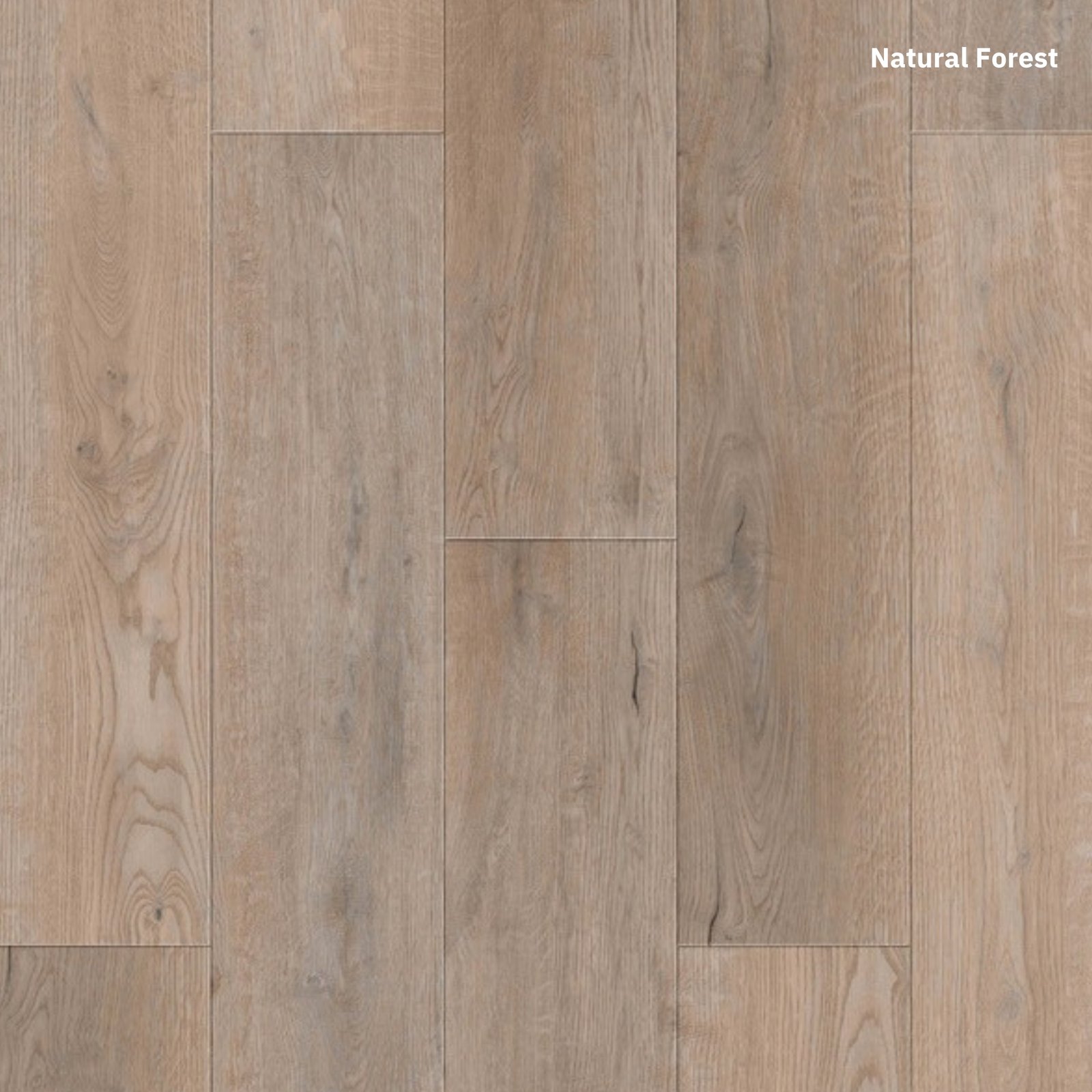 Ozz Plank - Image 13